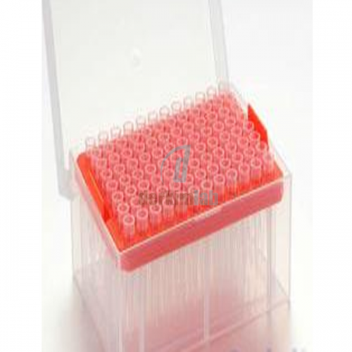 Boş Pipet Ucu kutusu, 96 lik, 1000 µl