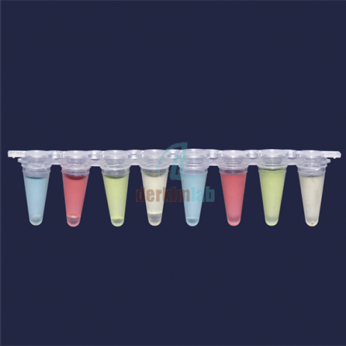 qPCR Şeridi - Şeffaf - Demonte Düz Kapaklı - 0,2 ml (12 adet / paket)
