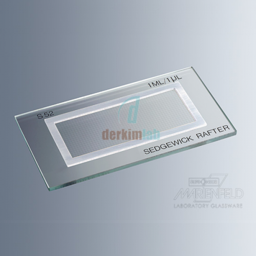 Sedgewick Rafter Lamı, Plastik