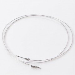 Capillary, Loop, 100µL