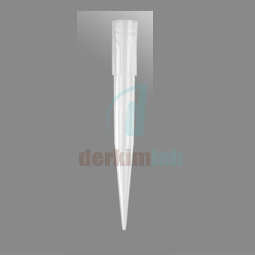 Axygen® 1000 µL Maxymum Recovery® Pipet Uçları, Eğimli, Şeffaf, Non-Steril,1000li Torba
